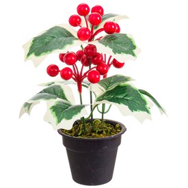 Fantastiko Holly Pot With Leaves 17 cm