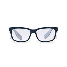 Pegaso WORK%FUN +2.50 PC-Schutzbrille