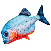 gaby-the-red-bellied-piranha