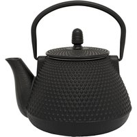 bredemeijer-153005-wuhan-cast-iron-1l-filter-teapot