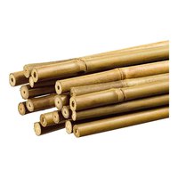 grouw-bamboo-plant-tutor-1.1x150-cm
