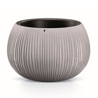 prosperplast-beton-decoration-bowl-21.8x37x37-cm