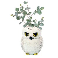 harry-potter-hedwig-wall-plant-pot