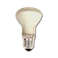 Clar R80 E-27 100W Incandescent Reflector Bulb
