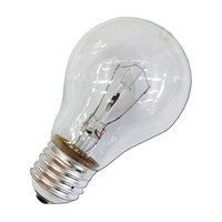 ormalight-standard-clear-40w-e27-125v-incandescent-bulb