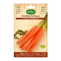 agreen-carota-semi-nantesa-5-eco