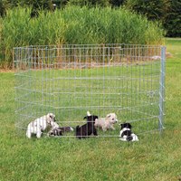 trixie-galvanized-puppies-enclosure