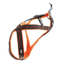 i-dog-harnais-canicross-harness