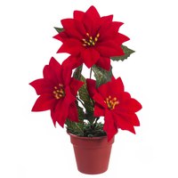 fantastiko-easter-flower-pot-ponsetia-22-cm
