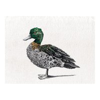maxwell-and-williams-marini-ferlazzo-birds-duck-kuchentuch