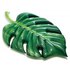 Intex Фотореалистичный пальмовый лист