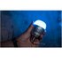 Aputure Accent B7c Light Bulb