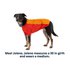 Ruffwear Undercoat Water Dog Jacket