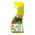 Masso 231569 Mealbugs Insecticide Spray 750ml